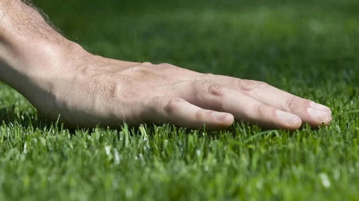 Doe dit niet met je gazon in februari: de fout waardoor je gras minder vaak groeit